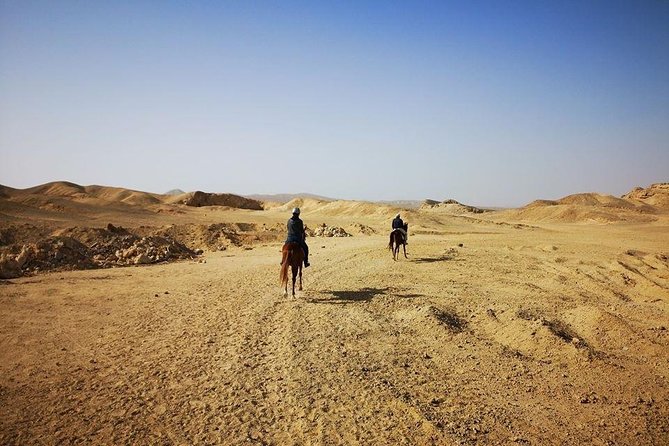 Horse Riding Adventure 2 hours sea and Desert - Hurghada - Price, refreshments, and what is included