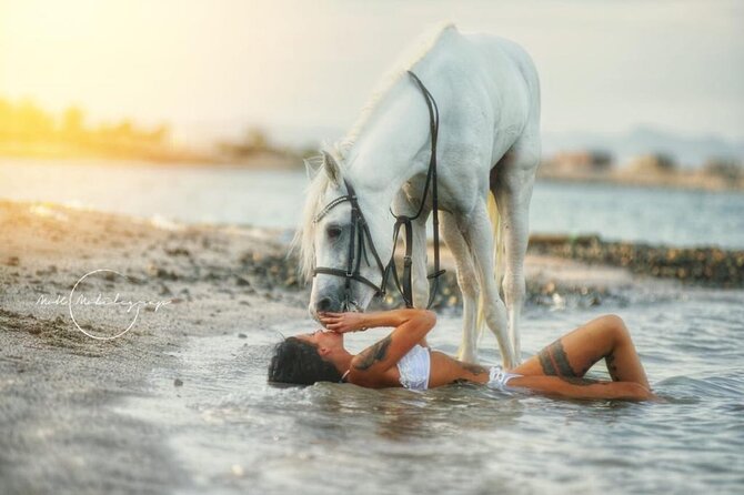 Horse Riding Adventure 2 hours sea and Desert - Hurghada - Who will enjoy this ride most