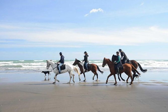 Horse Riding Adventure 2 hours sea and Desert - Hurghada - Reaching the Red Sea on horseback