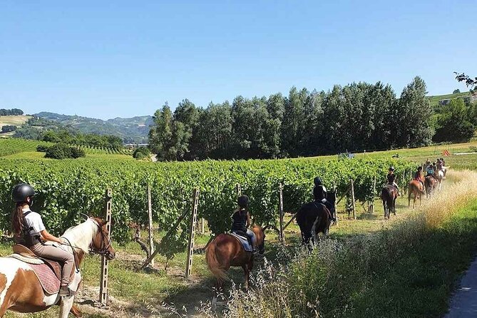 Horse Riding Adventure in Langhe: Piemonte's Scenic Vineyards - Quiet Roads Through the Monferrato Hills