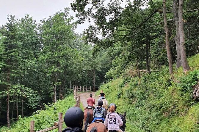 Horse Riding Adventure in Langhe: Piemonte's Scenic Vineyards - Horses, Guides, and Beginner Support