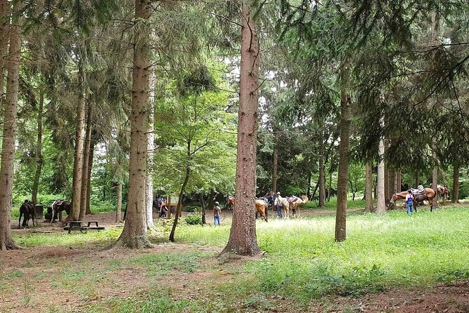 Horse Riding Adventure in Langhe: Piemonte's Scenic Vineyards - Clothing, Equipment, and Weather