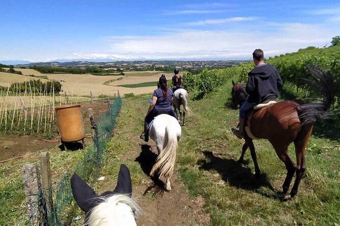 Horse Riding Adventure in Langhe: Piemonte's Scenic Vineyards - Price and Practical Value at $54.44