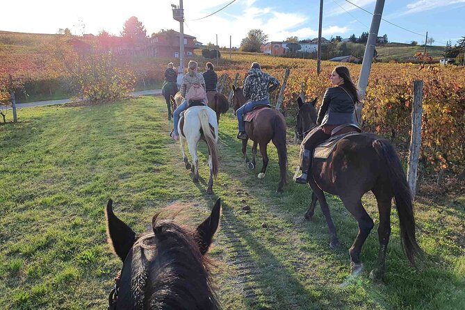 Horse Riding Adventure in Langhe: Piemonte's Scenic Vineyards - Choosing the Two-Hour Ride