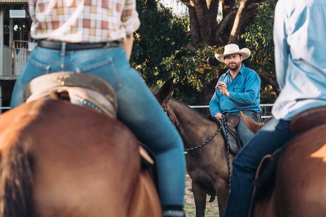 Horse Riding Adventure in the Outback - Meeting the Australian stock horses