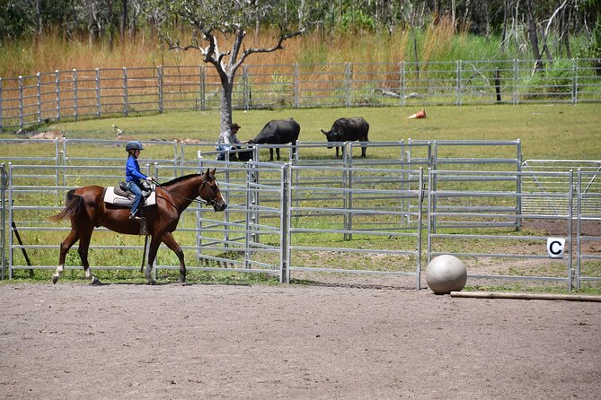 Horse Riding Adventure in the Outback - Camp drafting before you try it