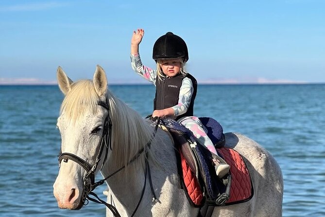 Horse riding Adventure on the Sea with Transfer in Hurghada - Key points to know before booking