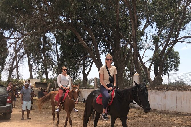 Horse Riding Agadir - Riding from Agadir toward the Souss Massa River