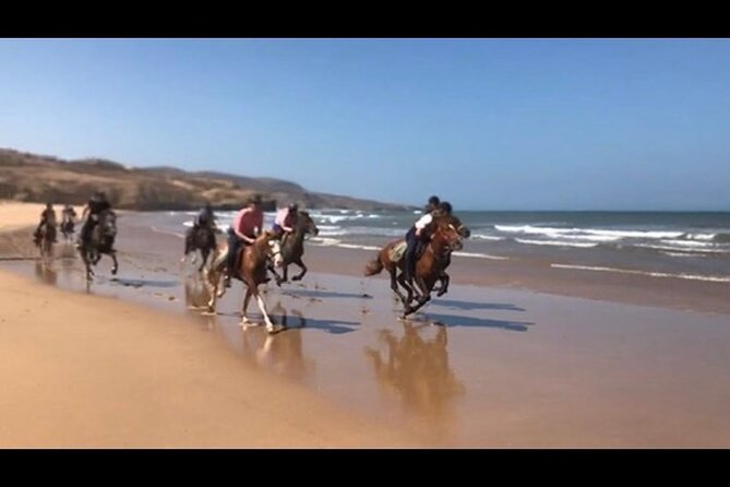 Horse Riding Agadir - Horses, guides, and the level of personal attention