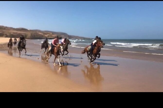 Horse Riding Agadir - Who will get the best value from this Agadir ride