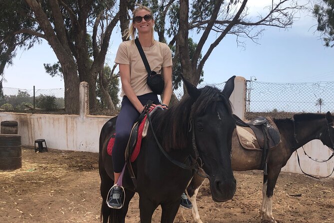 Horse Riding Agadir - Timing, weather, and practical value