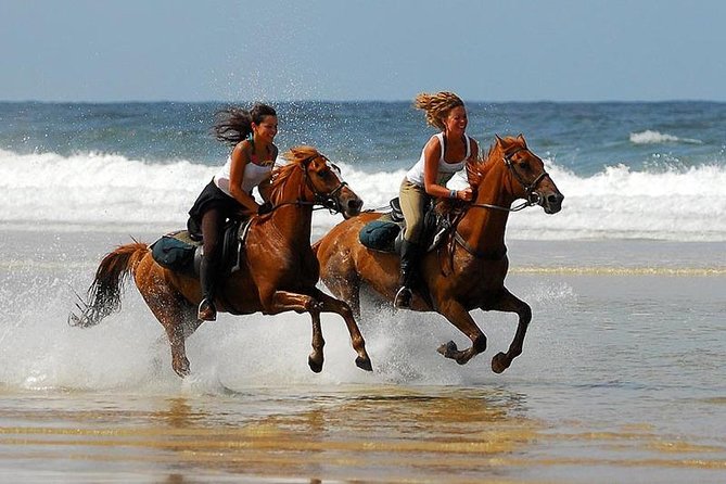 Horse Riding Agadir - Eucalyptus trees, open country, and the first stretch of the ride