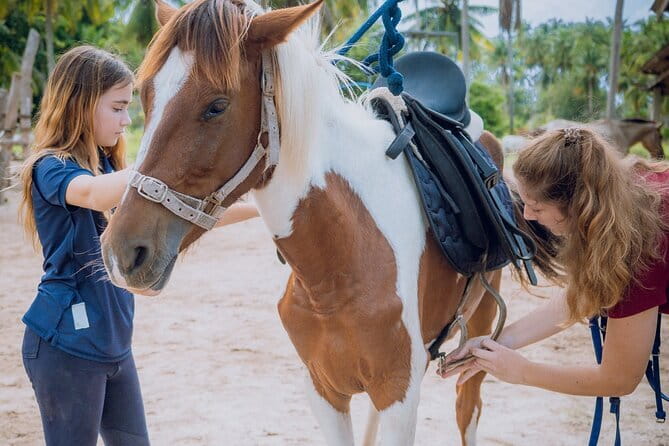 Horse Riding and Beach Trails on Koh Samui - A gentle start through tropical gardens