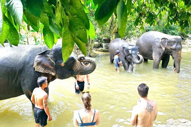 Horse Riding and Beach Trails on Koh Samui - Family, couple, and solo appeal