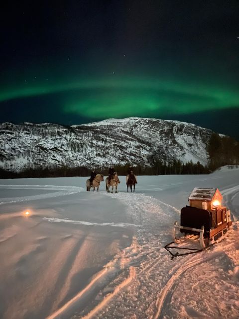 Horse riding and dining experience - Key points to know before booking