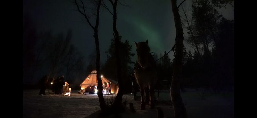 Horse riding and dining experience - A slow evening outside Alta