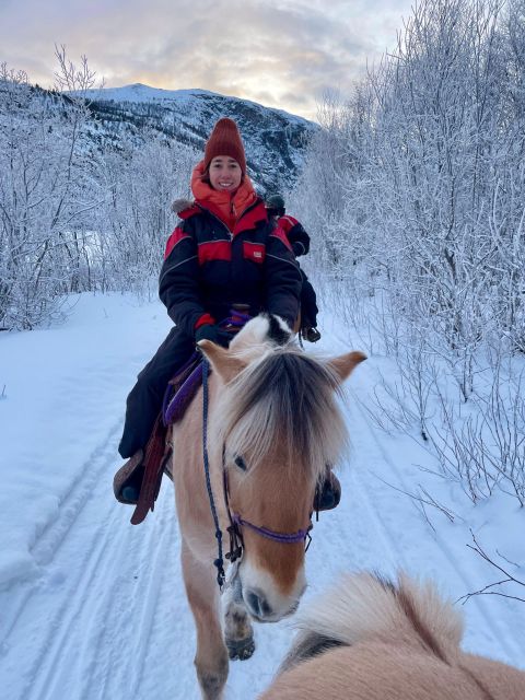 Horse riding and dining experience - A wilderness shelter and a fire-cooked meal