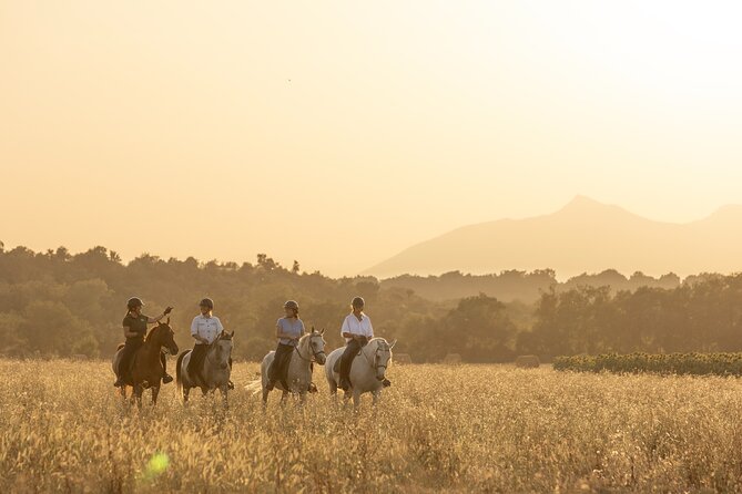 Horse Riding and Wine Tasting Experience - Key points to know before booking