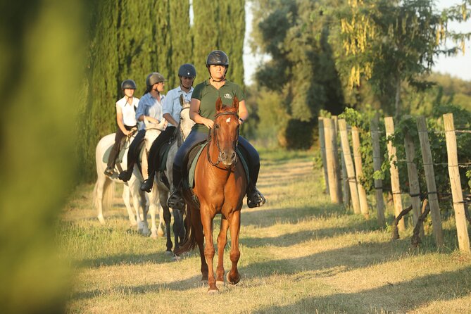 Horse Riding and Wine Tasting Experience - A quiet ride through vineyards and pine woods