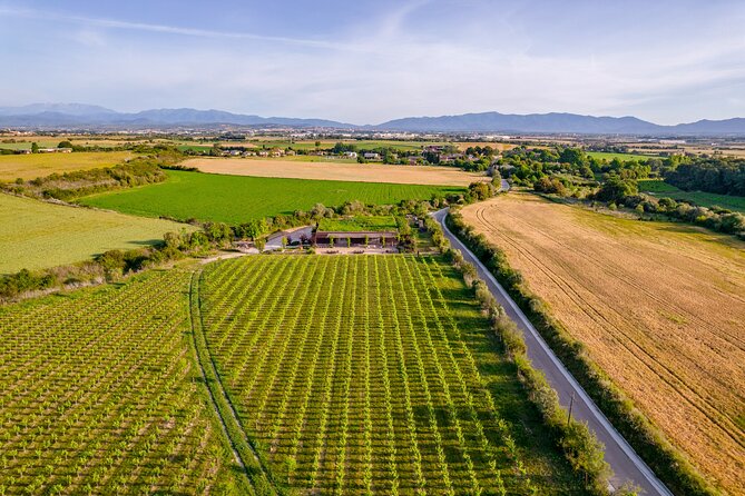 Horse Riding and Wine Tasting Experience - From the stables to Clos de Basella