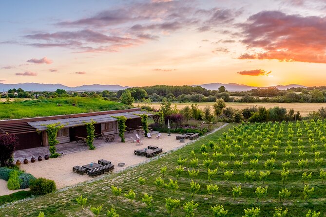 Horse Riding and Wine Tasting Experience - Tasting Catalan wines after the ride