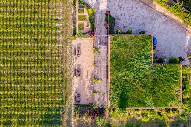 Horse Riding and Wine Tasting Experience - What the $94.68 price really covers