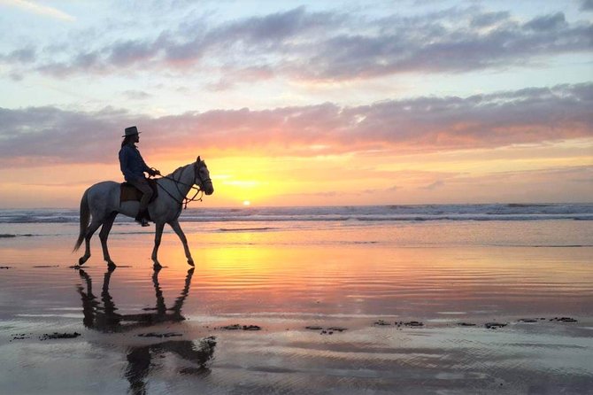 Horse riding at sunset for 2 hours - Riding out from Diabat toward the Atlantic