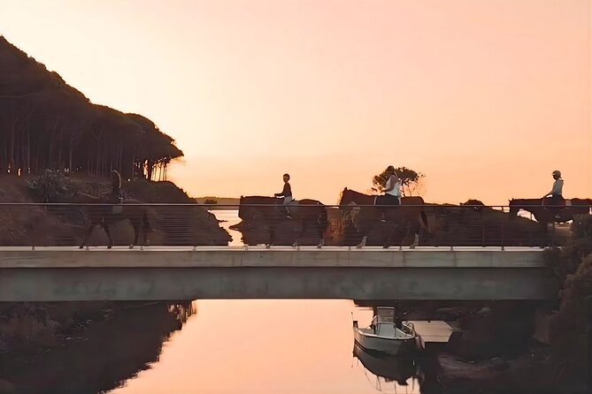 Horse Riding at the Beach in Orosei - Key points to know before you book