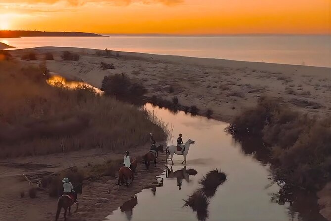 Horse Riding at the Beach in Orosei - What the 90-minute route feels like