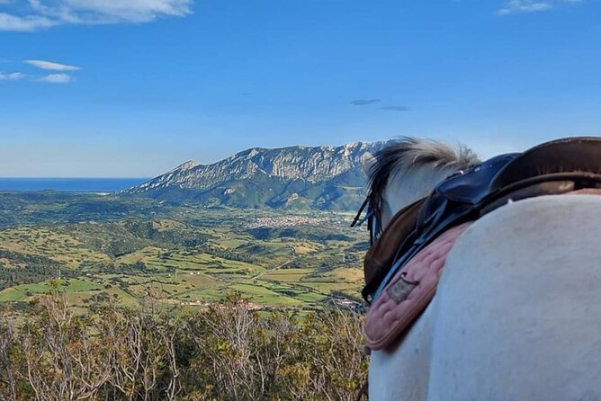 Horse Riding at the Beach in Orosei - A closer look at the beach and river-mouth setting