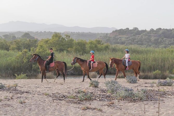 Horse Riding at the Beach in Orosei - How the guide and horses affect the experience