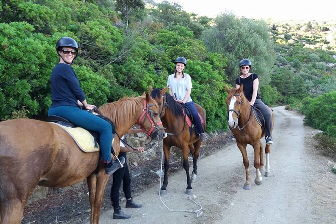 Horse Riding at the Beach in Orosei - Is $105.86 a fair price?