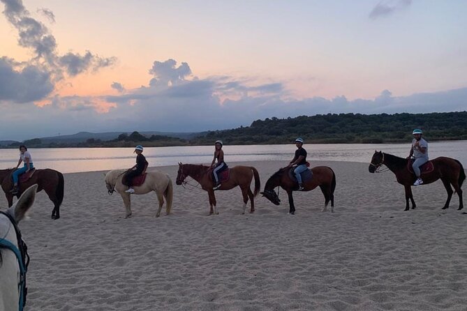 Horse Riding at the Beach in Orosei - Who will enjoy this coastal horse ride?