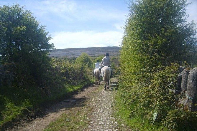 Horse riding - Burren Trail. Lisdoonvarna, Co Clare. Guided. 3 hours. - Horses chosen for different riding abilities