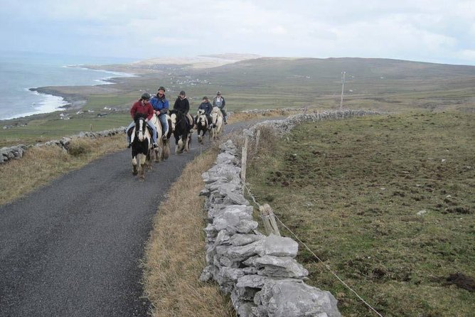 Horse riding - Burren Trail. Lisdoonvarna, Co Clare. Guided. 3 hours. - Trotting, cantering, and keeping the group comfortable
