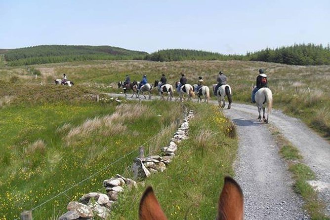 Horse riding - Burren Trail. Lisdoonvarna, Co Clare. Guided. 3 hours. - Three hours among forts, ruins, and open Burren country