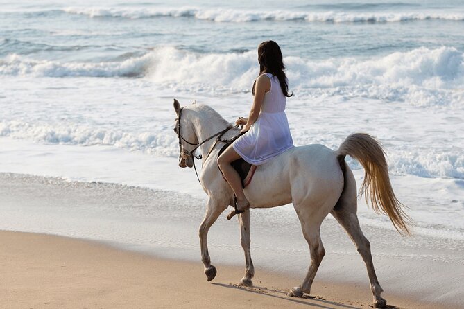 Horse riding by the beach Salalah - The stable visit and first look at the horses