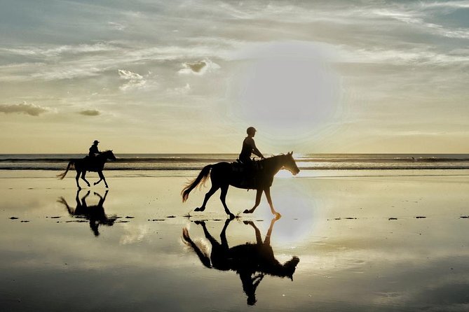 Horse Riding By The Beach With Hammam And Massage - From Agadir hotel pickup to the ranch