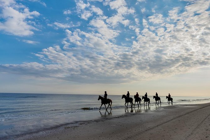 Horse Riding By The Beach With Hammam And Massage - Is $104.54 good value in Agadir?