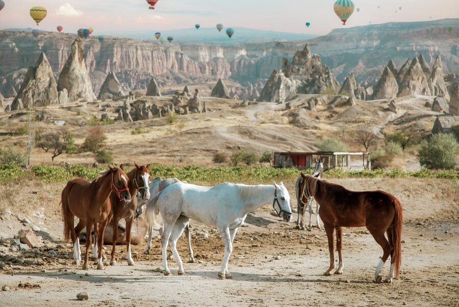 Horse Riding Cappadocia- Cappadocia Horse Farm - Why Cappadocia makes sense on horseback