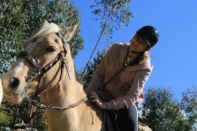 Horse Riding Chacan Mountain And Temple Of The Moon - Who will enjoy this ride most