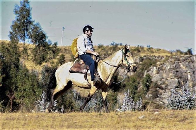 Horse Riding Chacan Mountain And Temple Of The Moon - Horse care is central to the experience