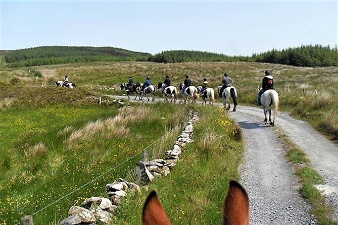Horse riding - Dirt Trek Trail. Lisdoonvarna, Clare. Guided. 1 hour. - The views toward the Atlantic coast