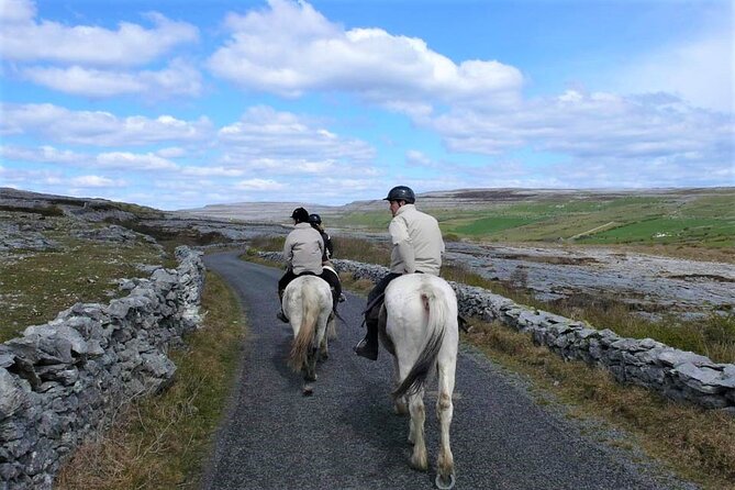Horse riding - Dirt Trek Trail. Lisdoonvarna, Clare. Guided. 1 hour. - Is one hour enough for the price?