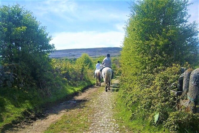 Horse riding - Dirt Trek Trail. Lisdoonvarna, Clare. Guided. 1 hour. - Who will enjoy this horseback ride most?
