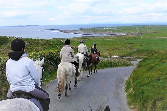 Horse riding - Dirt Trek Trail. Lisdoonvarna, Clare. Guided. 1 hour. - Riding through woodland and famine ruins