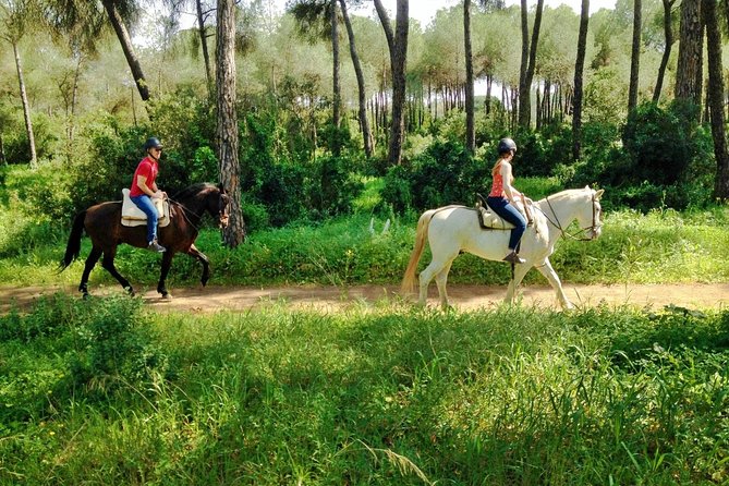 Horse Riding Excursion from Seville - Key points to know before you book