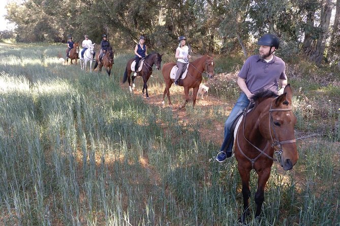 Horse Riding Excursion from Seville - Meeting Dani, Antonio, Carmen, or another guide