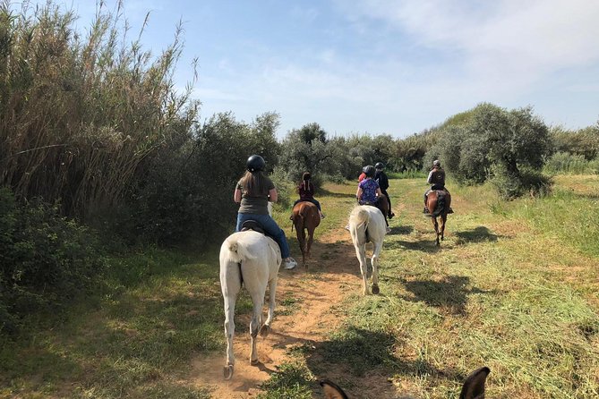 Horse Riding Excursion from Seville - Is the two-hour ride good value at $166.99?