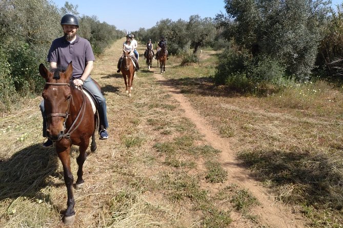 Horse Riding Excursion from Seville - What the ride feels like for beginners